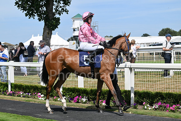 Gt_Yarm_Residents_Day_June_27-61