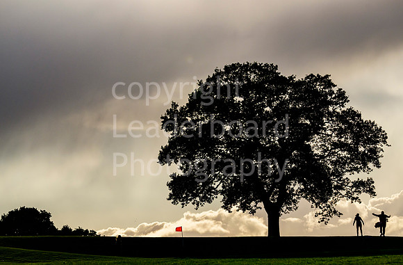 LBM_0938