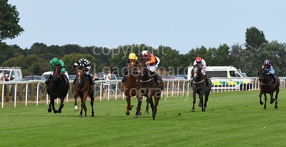Gt_Yarm_21_Aug_2022-18