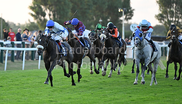Gt_Yarm_Ladies Night_2025-207