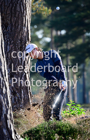 NZ9_4883