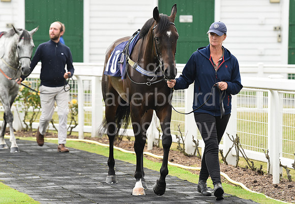 Gt_Yarm_27th_July_2021-5