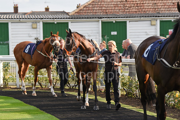 60_GY_Races_20Aug