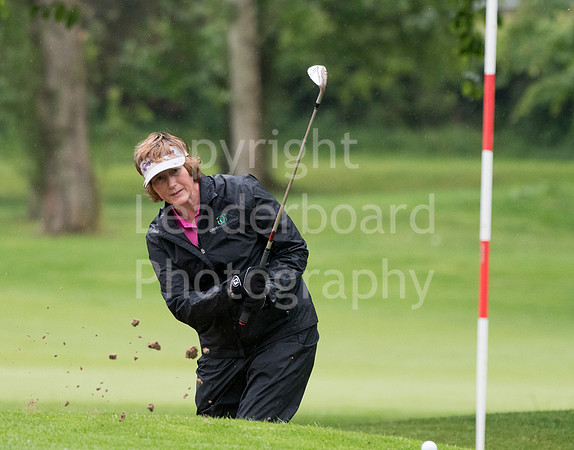 LB_Senior_Women_Staffs_2017_0467