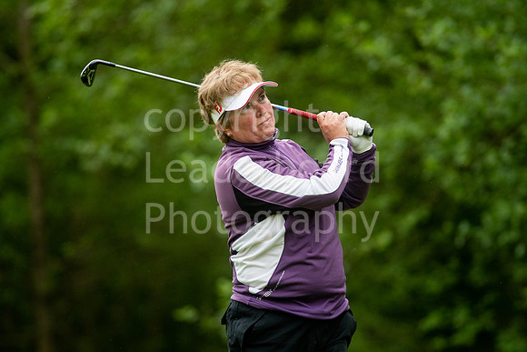 LBP_0955