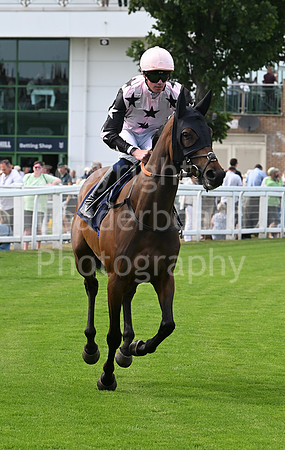 Gt_Yarm_Residents_Day_June_27-145