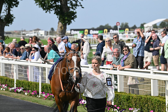 Gt_Yarm_Residents_Day_June_27-125
