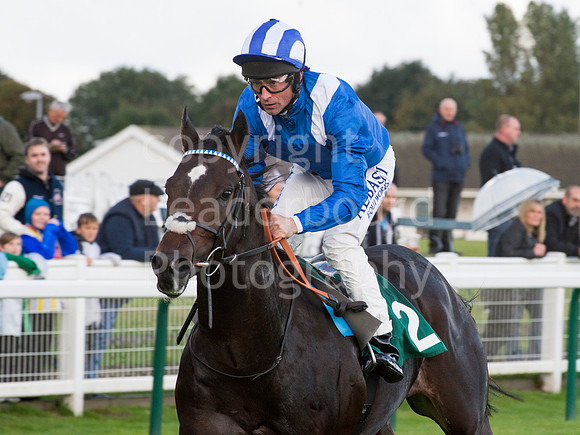 LB_GY_races_10_10_2016_0030