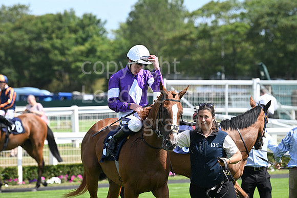 Gt_Yarm_Residents_Day_June_27-77