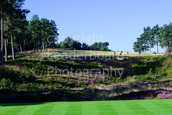 NB_267_English_Women's_Open_2022