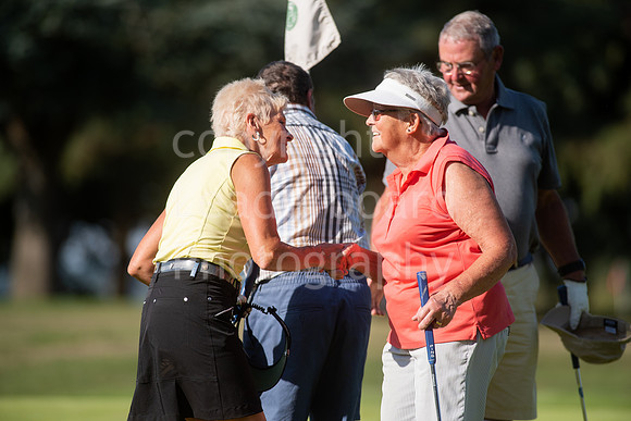 NB_048_Ping_Family