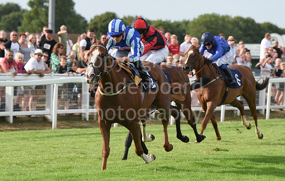 Gt_Yarm_21_Aug_2022-208