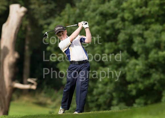 LB_Reid_2016_0437