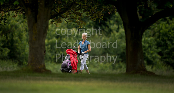 LB_Senior_womens_stroke_play_2016_2131