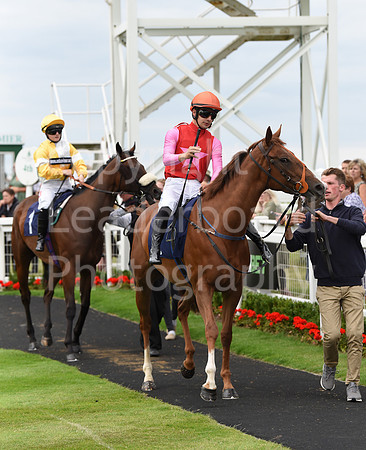 Gt_Yarm_06_July_2022-165