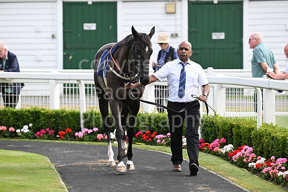 Gt_Yarm_Aug_8_2024-170