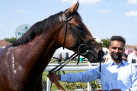Great Yarmouth  Race Two 11th Aug 8