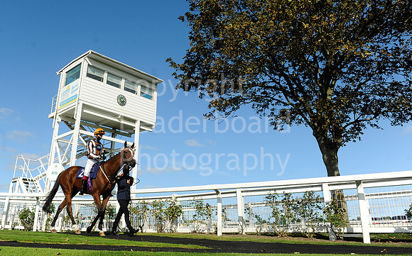 GYraces_17sept_Race7_winner-173