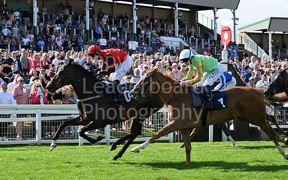 Gt_Yarm_25_Aug_Family_Raceday_2024-116