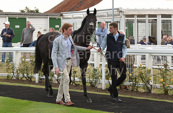 85_GY_Races_20Aug