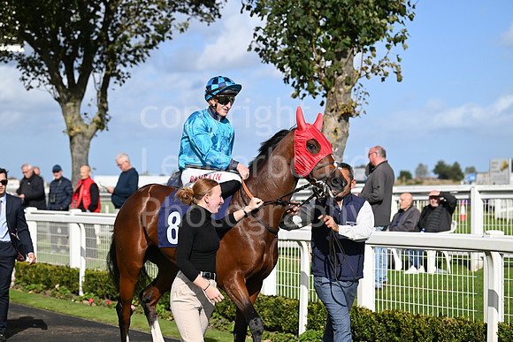 Gt_Yarm_Oct_7_2024-6