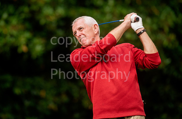 NB_121_County_Champion_Of_Champions