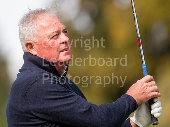 NB_224_County_Champion_Of_Champions
