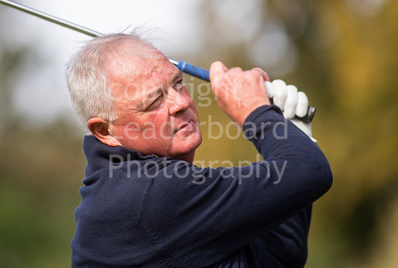 NB_223_County_Champion_Of_Champions