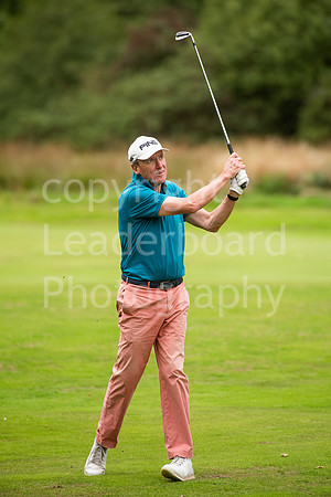 NB_242_County_Champion_Of_Champions