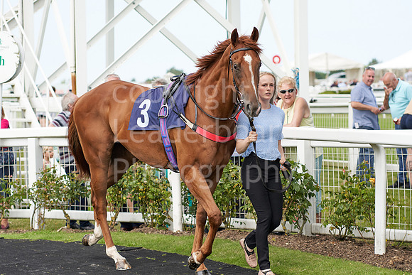 Great Yarmouth  Race Five 11th Aug 2021 0394