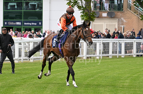 Gt_Yarm_May14_2025-146