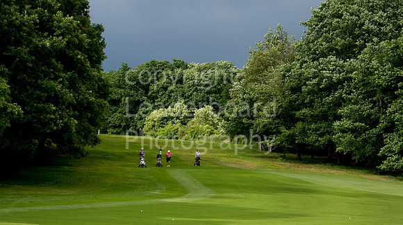 LB_Senior_womens_stroke_play_2016_2365