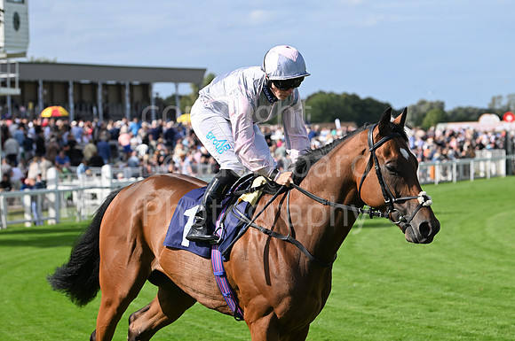 Gt_Yarm_25_Aug_Family_Raceday_2024-131