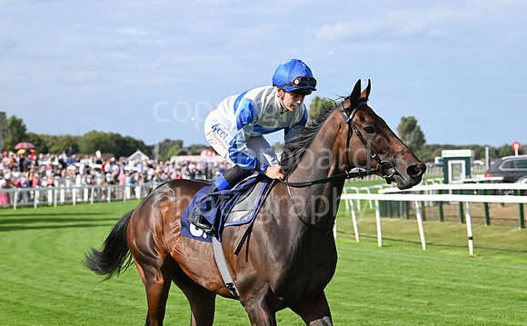 Gt_Yarm_25_Aug_Family_Raceday_2024-146