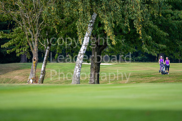 PING_Women_BetterBall_2021-21