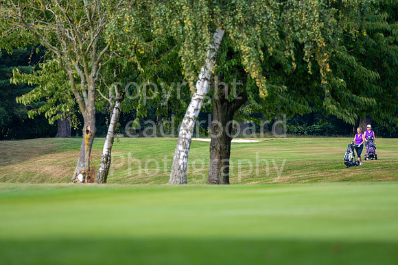 PING_Women_BetterBall_2021-22