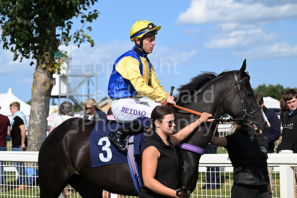 Gt_Yarm_25_Aug_Family_Raceday_2024-102