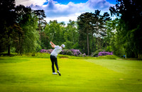 LB_Brabazon_2017_3875