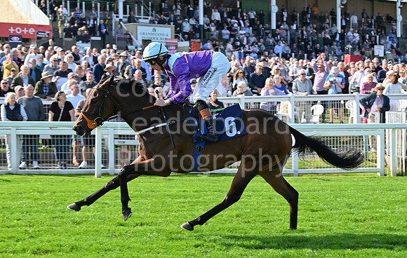 Gt_Yarm_Eastern_Fest_18_Sept_2024-73