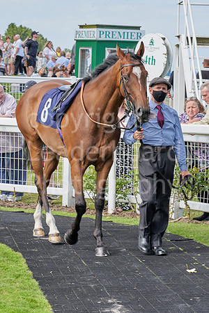 Great Yarmouth  Race Six 11th Aug 2021 0421