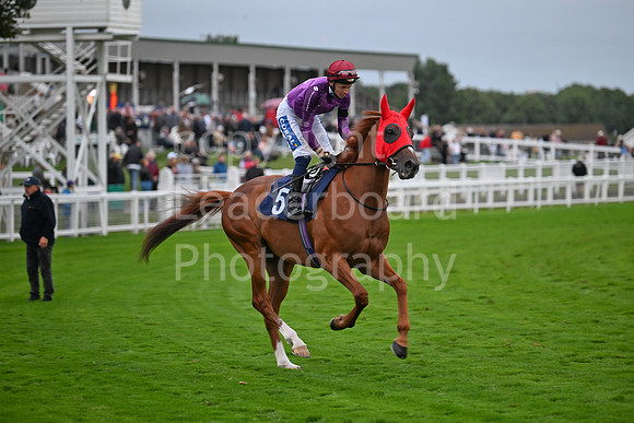 Gt_Yarm_Ladies Night_2025-230