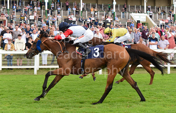 Gt_Yarm_06_July_2022-28