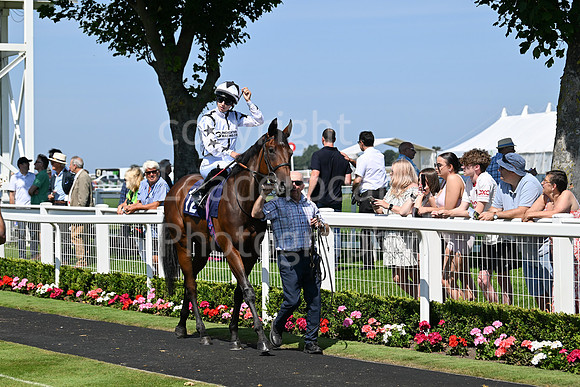Gt_Yarm_July_30_2024-107