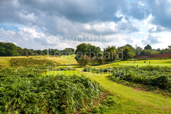 LBP_Champion_Club_Knole-10