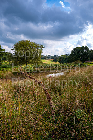 LBP_Champion_Club_Knole-13