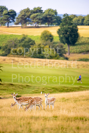 LBP_Champion_Club_Knole-16