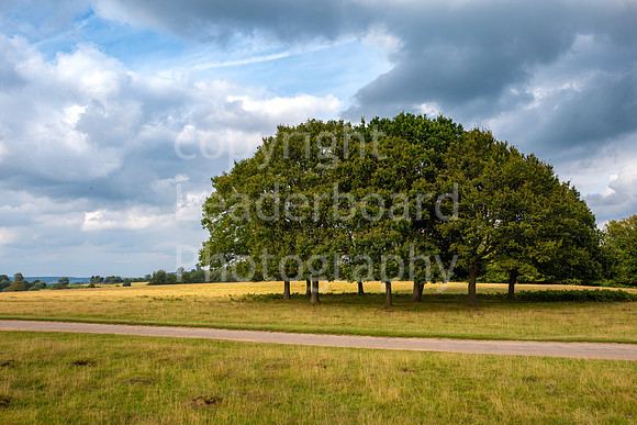 LBP_Champion_Club_Knole-15