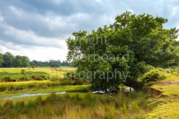 LBP_Champion_Club_Knole-14