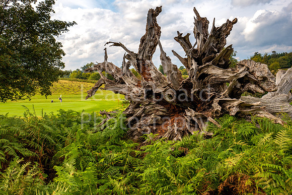 LBP_Champion_Club_Knole-20