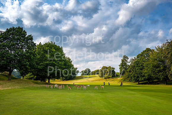 LBP_Champion_Club_Knole-27